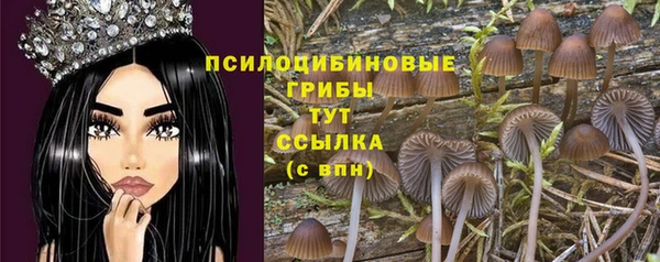 марки nbome Инсар